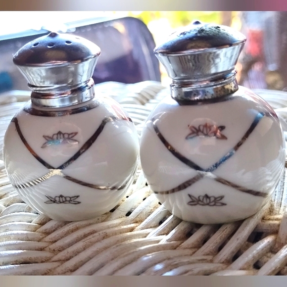 Vintage Irice Porcelain Salt and Pepper Shakers-Hand Painted-White & Silver 2¼ - Picture 1 of 3